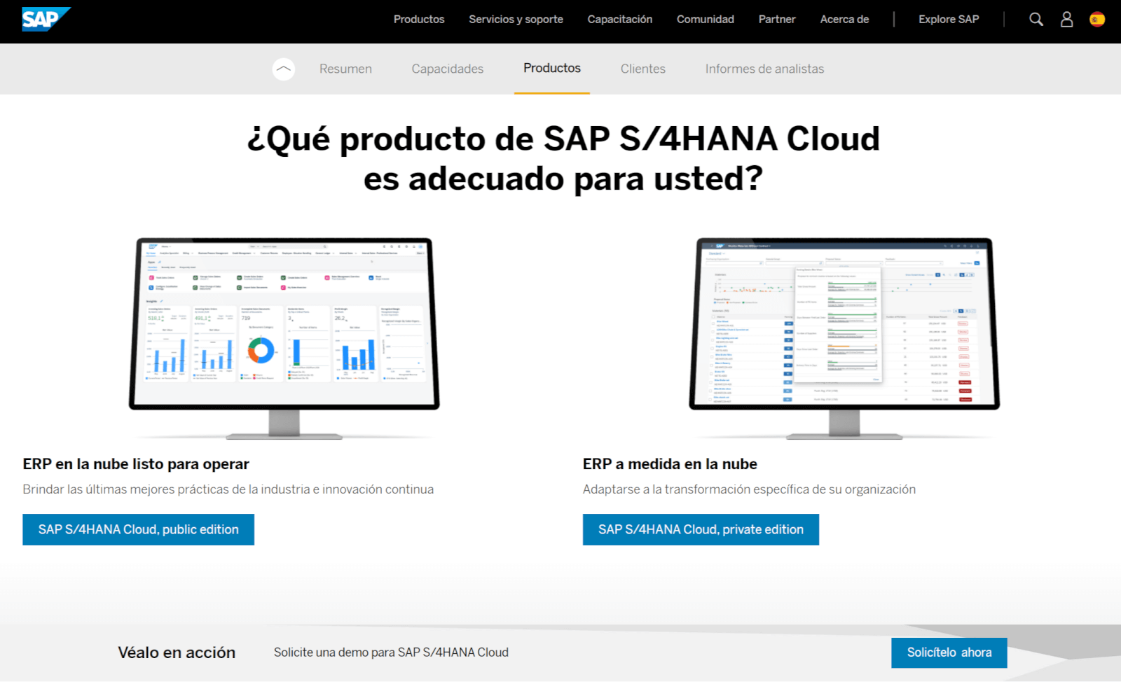 Ilustración del programa de gestion empresarial SAP