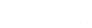 Logo STEL Order, Haz tu negocio y tu vida más fácil